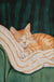 Minimalist Cat Illustration Canvas Wall Print