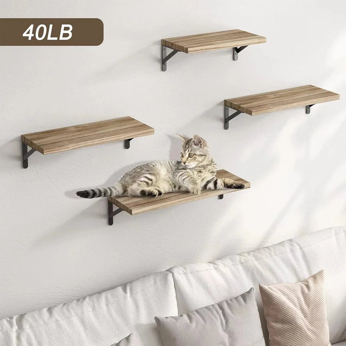 Wood Floating Wall Shelf for Display and Storage