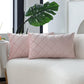 Velvet Decorative Pillow Cover - 30x50