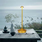 Cordless Touch Table Lamp with Adjustable Brightness - Cordless