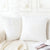 Plush Faux Fur Pillow Cover - Woven