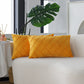 Velvet Decorative Pillow Cover - 30x50