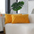 Velvet Decorative Pillow Cover - 30x50