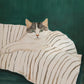 Minimalist Cat Illustration Canvas Wall Print